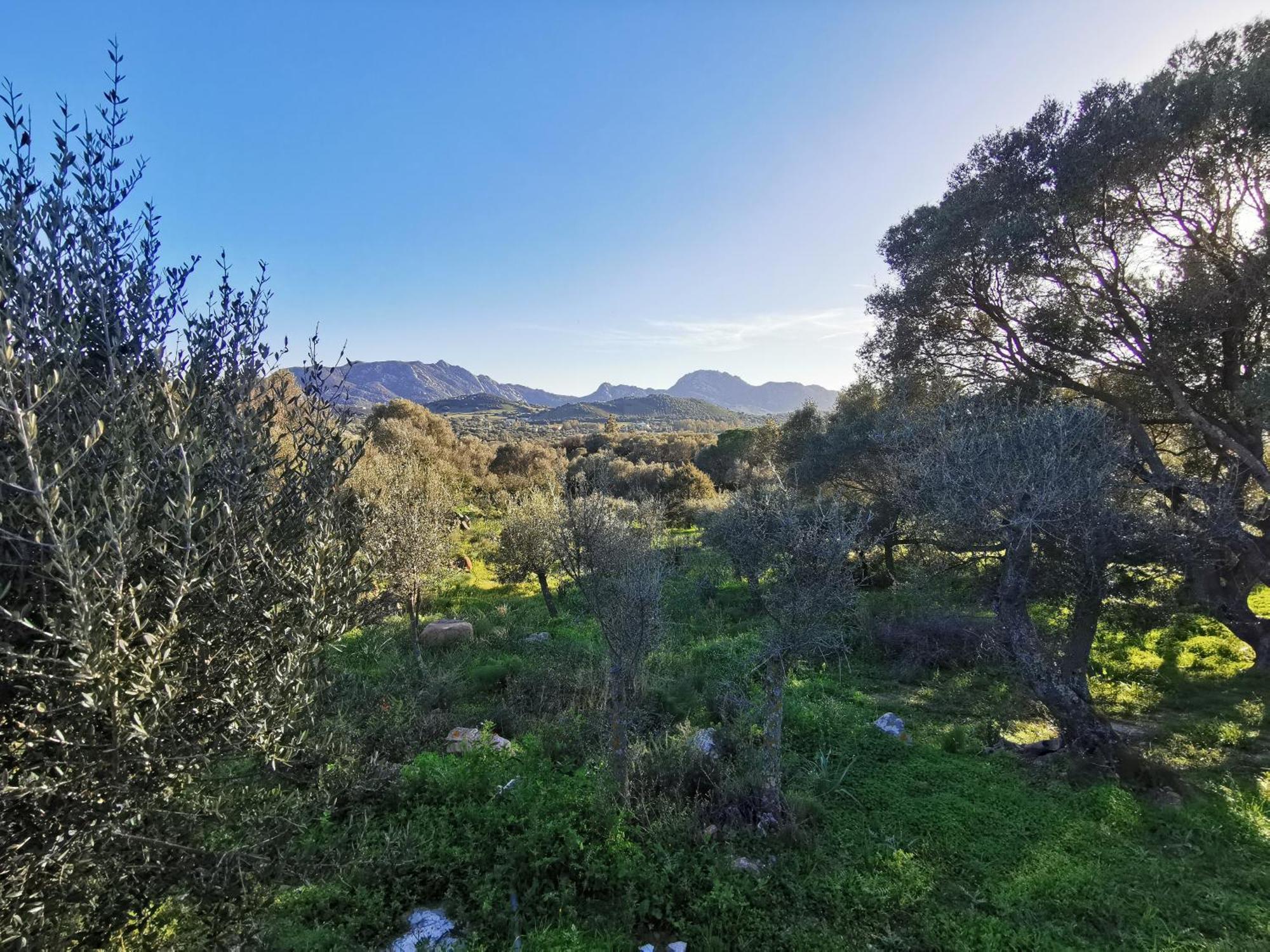Casa Mariposa Porto Rotondo Villa Rudalza Bagian luar foto